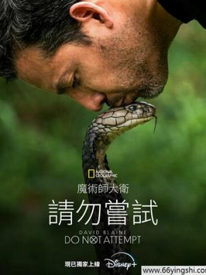 电视剧